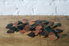Guitar Picks